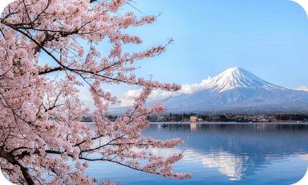 Mount Fuji framed by cherry blossoms in Japan